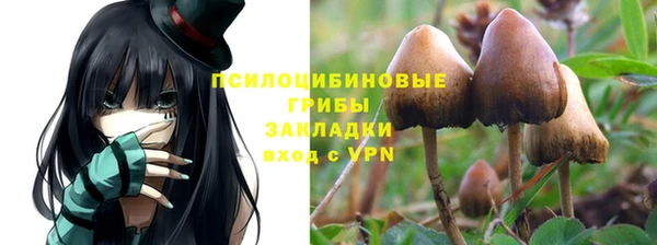 спайс Богородск