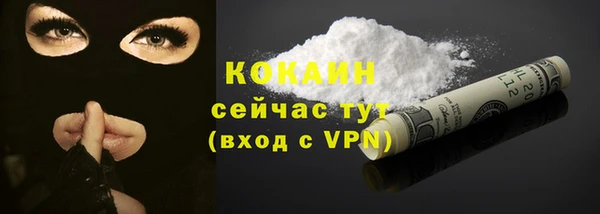 соль ск Богданович