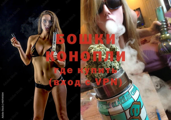 МДПВ Богородицк