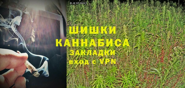 МДПВ Богородицк