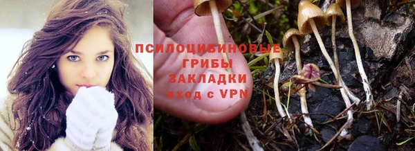 спайс Богородск