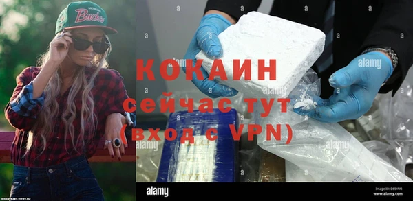 соль ск Богданович