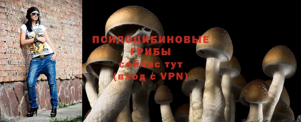 спайс Богородск
